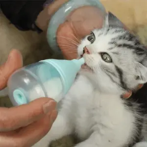 mamadeira de silicone para filhotes de gato