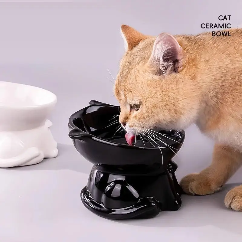 Tigela Elevada Inclinada para Gatos Antiderrapante Grande Capacidade - Imagem 5