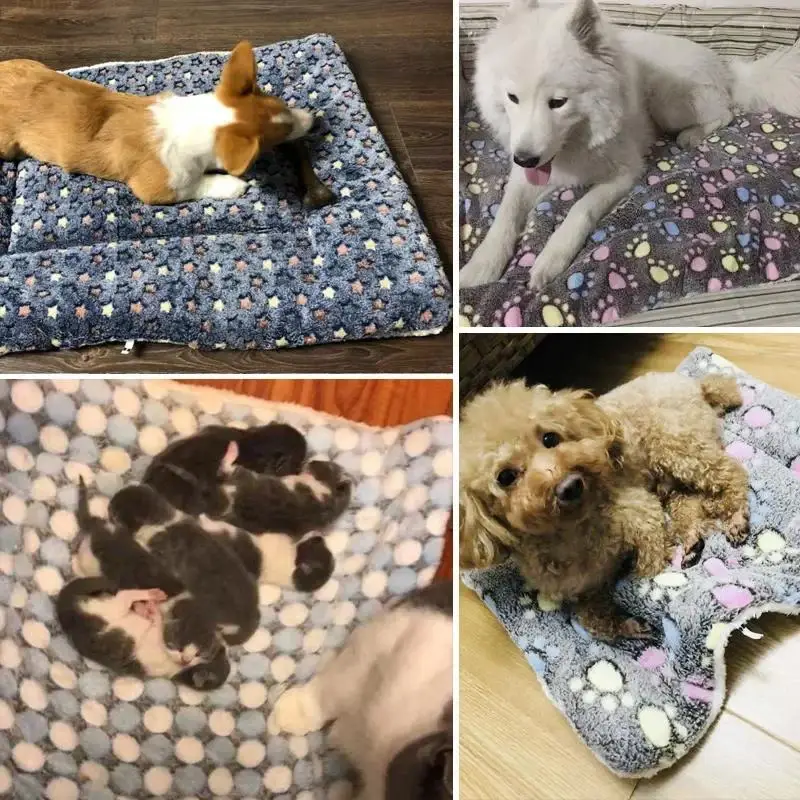 Cobertor para Gatos e Cães de Flanela Lavável Padrão Urso - Imagem 3