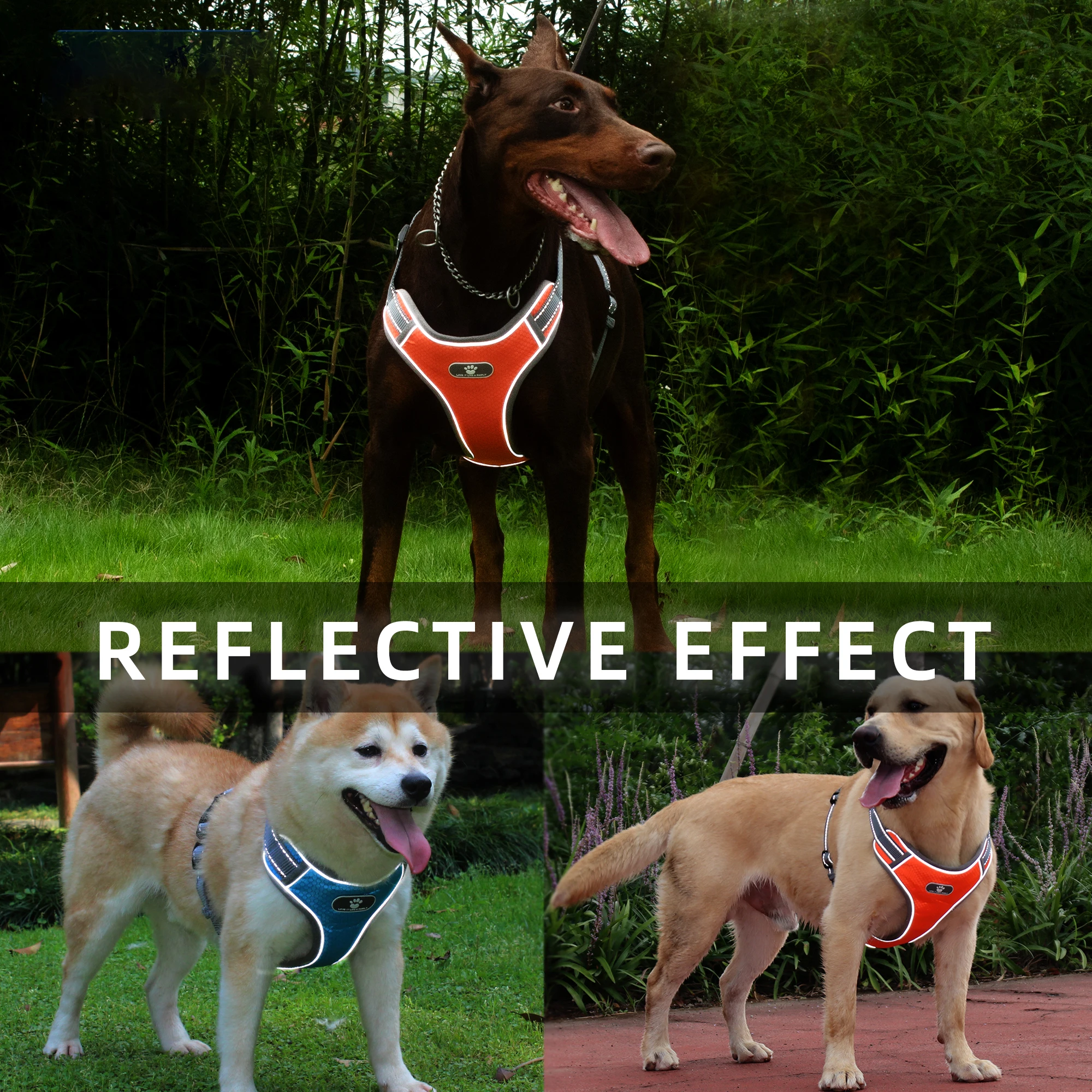 Colete para Cães Refletivo Oxford para Passeio - Imagem 6