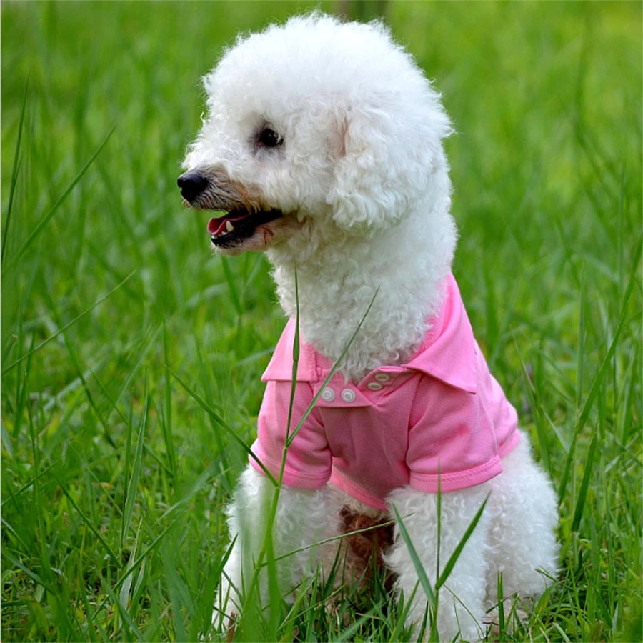 Colete Polo para Cães Pequenos de Algodão para Primavera e Verão - Imagem 5