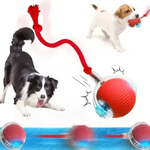 bola interativa para cães e gatos