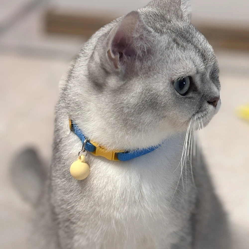 Coleira Elástica para Gatos e Cães Pequenos de 21-32 cm - Imagem 4