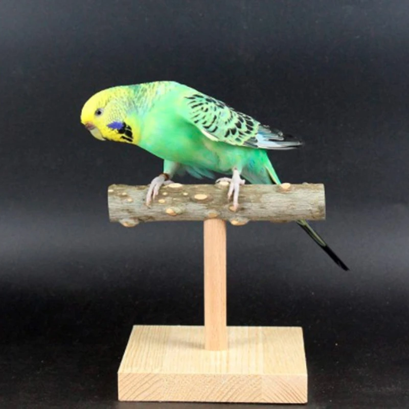 Poleiro de Mesa para Pássaros de Madeira Natural com Base 10x10 cm - Imagem 4