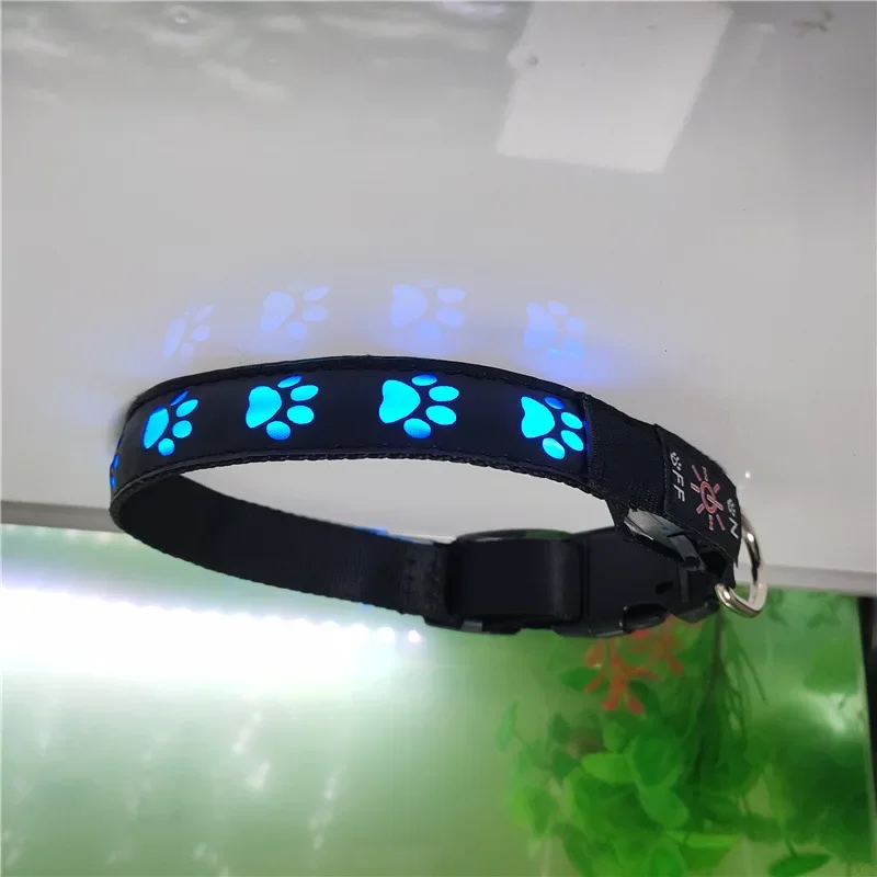 Coleira Luminosa para Cães com Pata e Luz Antiperda - Imagem 3
