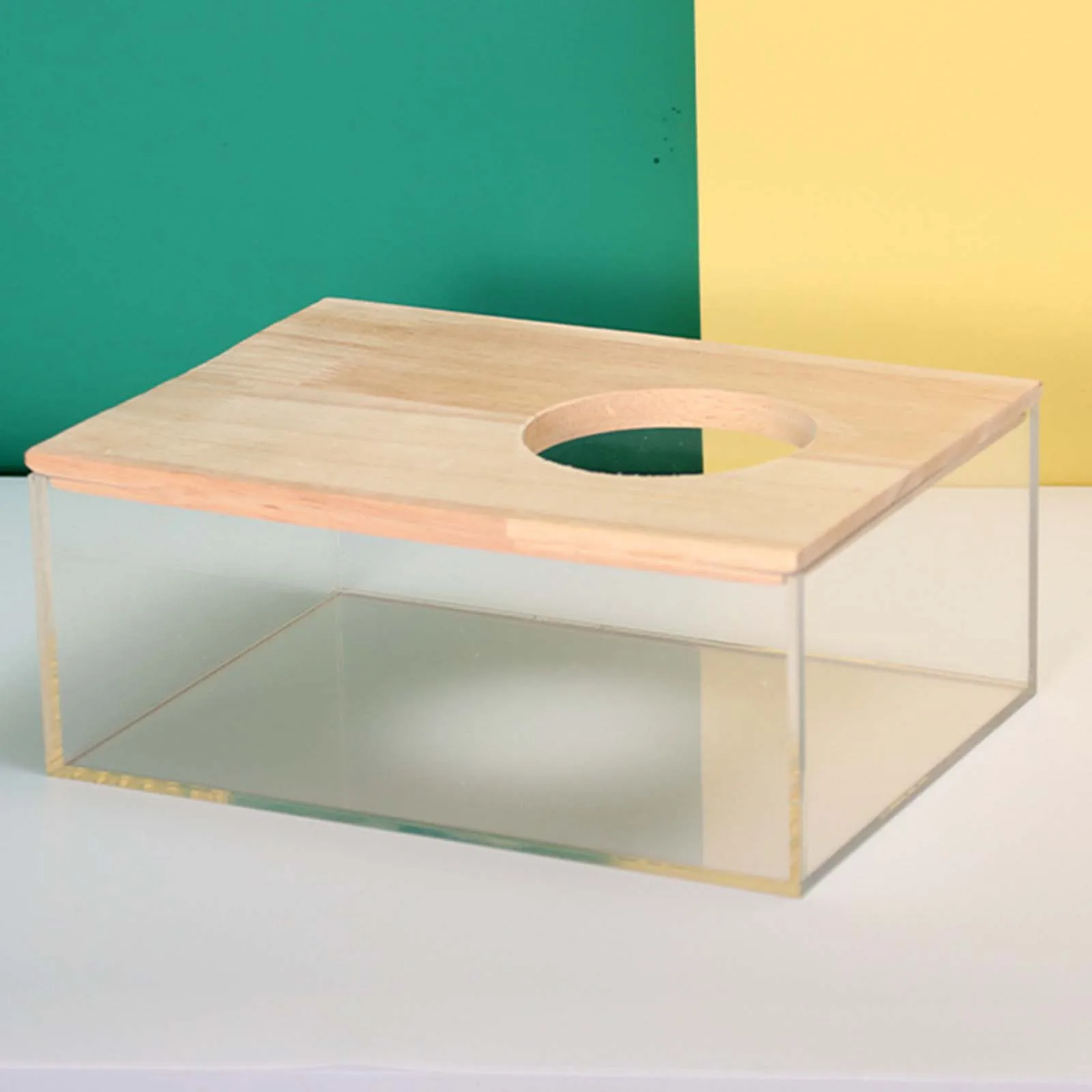 Banheira para Hamster de Acrílico e Madeira Transparente - Imagem 5