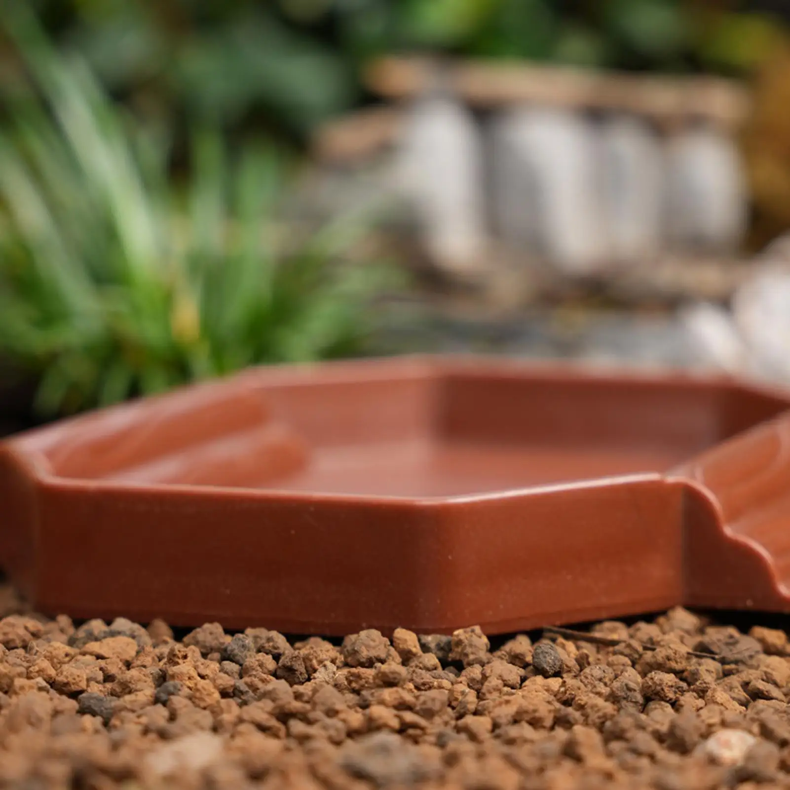 Tigela de Água para Répteis Antiderrapante Chocolate 2 em 1 com Rampa - Image 3
