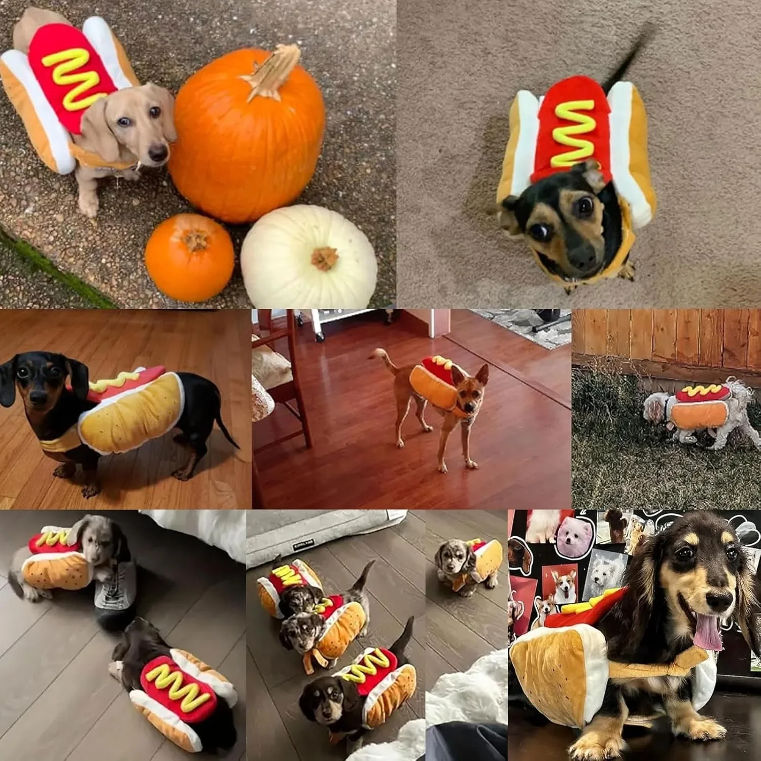 Traje de Cachorro e Gato para Festas Ajustável - Imagem 5