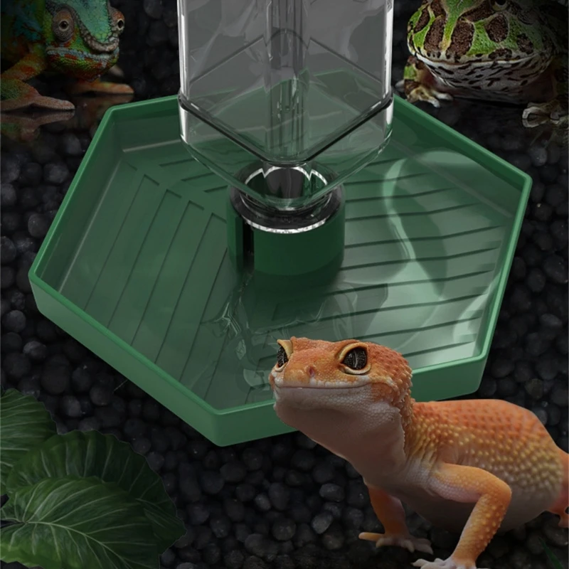 Bebedouro Automático para Répteis de Plástico Antiderrapante - Imagem 6
