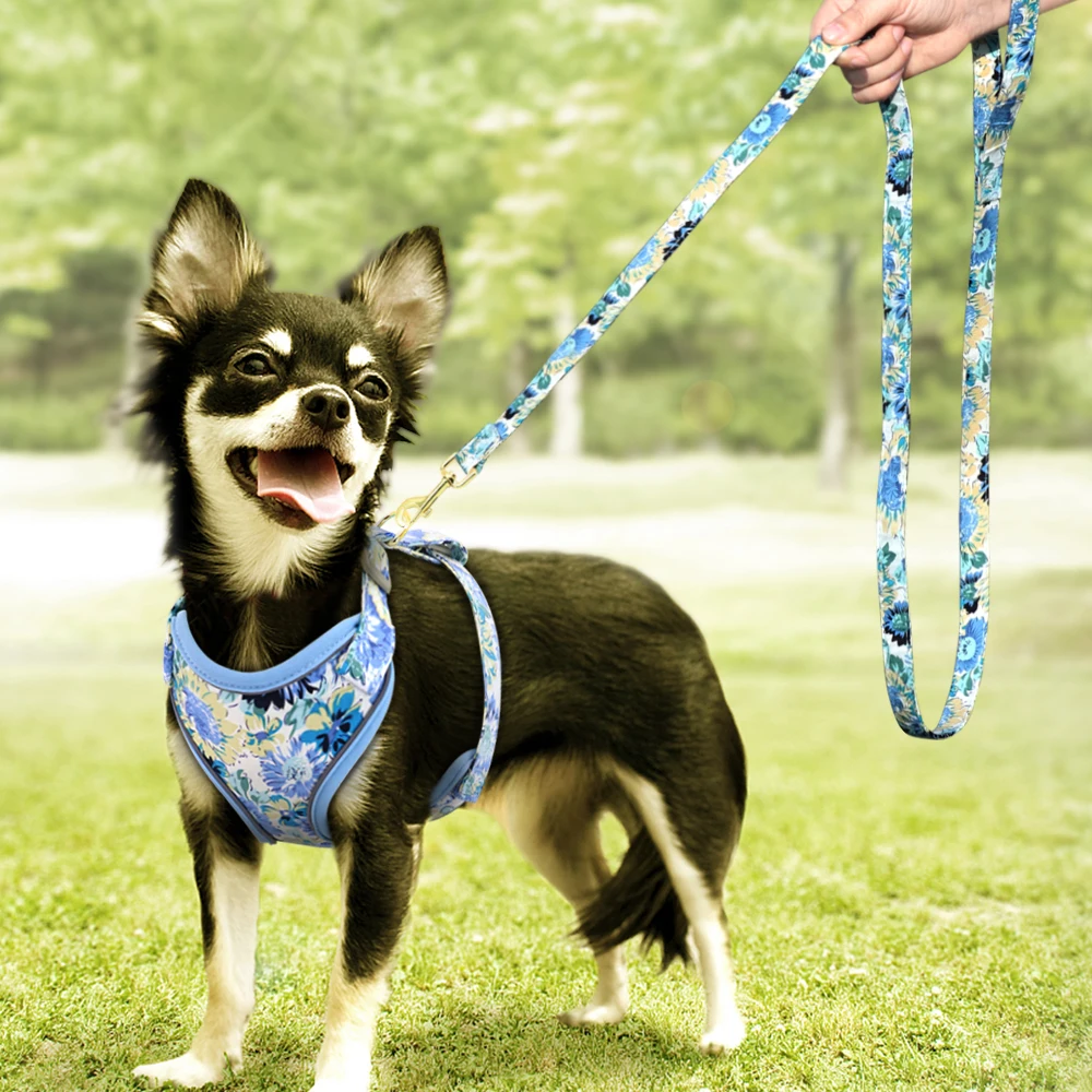 Coleira Peitoral e Guia para Cães de Nylon Refletivo para Passeio - Imagem 5