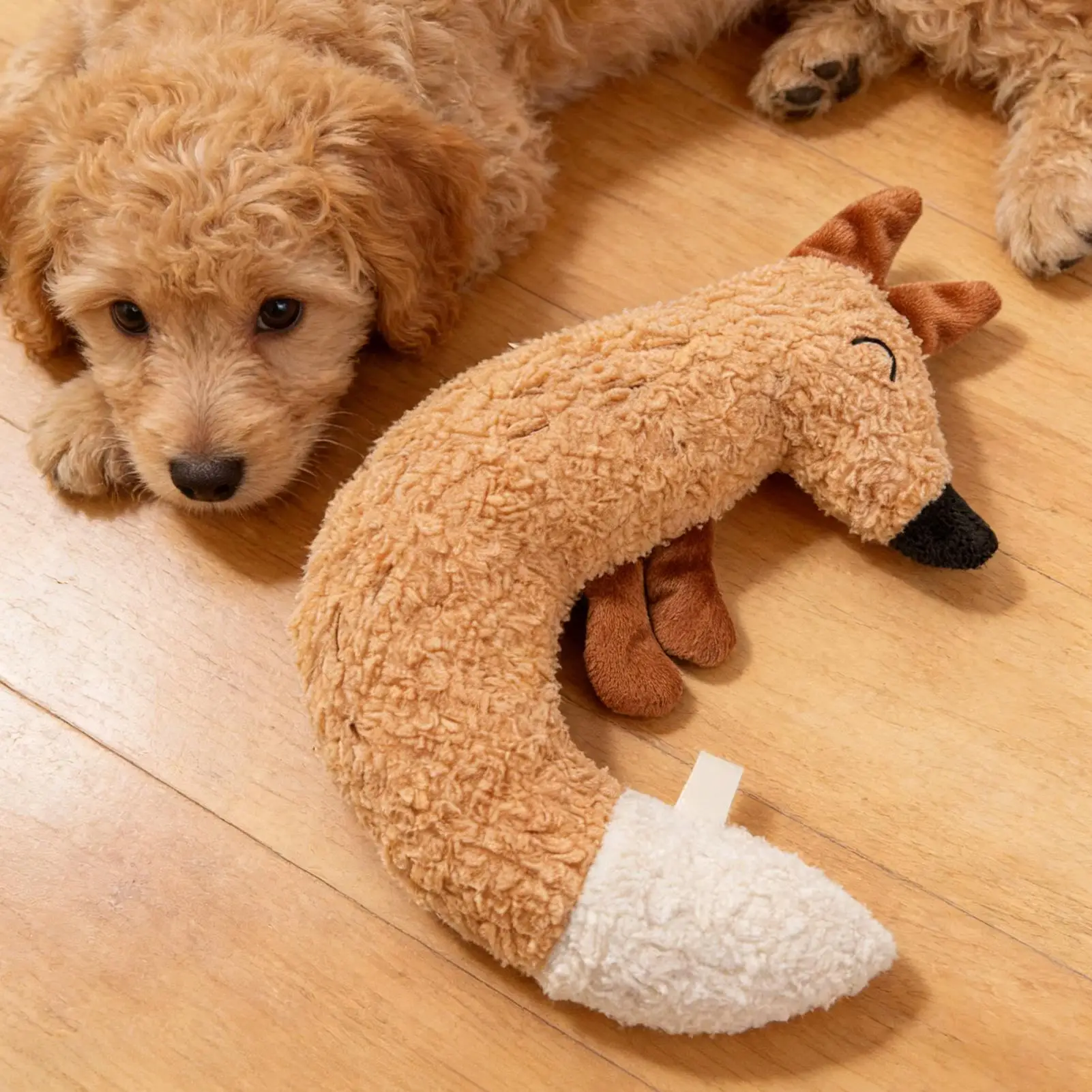 brinquedo de pelúcia para cães e gatos