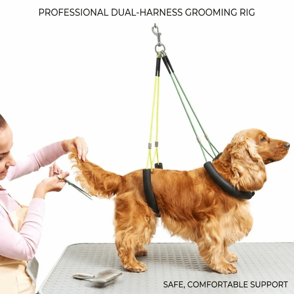 suporte de tosa para cães