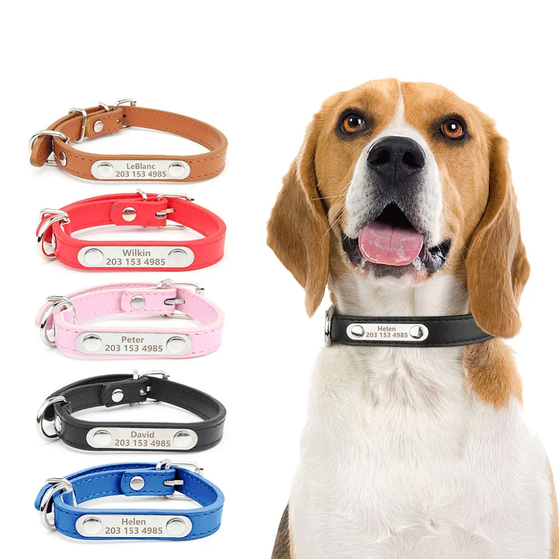 Coleira para Cães e Gatos Pequenos, Médios e Grandes com Placa de Identificação Gravável - Imagem 3
