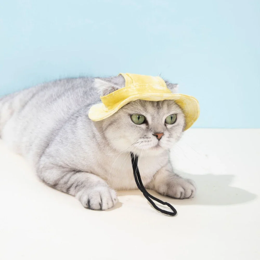 Boné de Beisebol para Cães e Gatos Pequenos e Médios Ajustável - Imagem 2