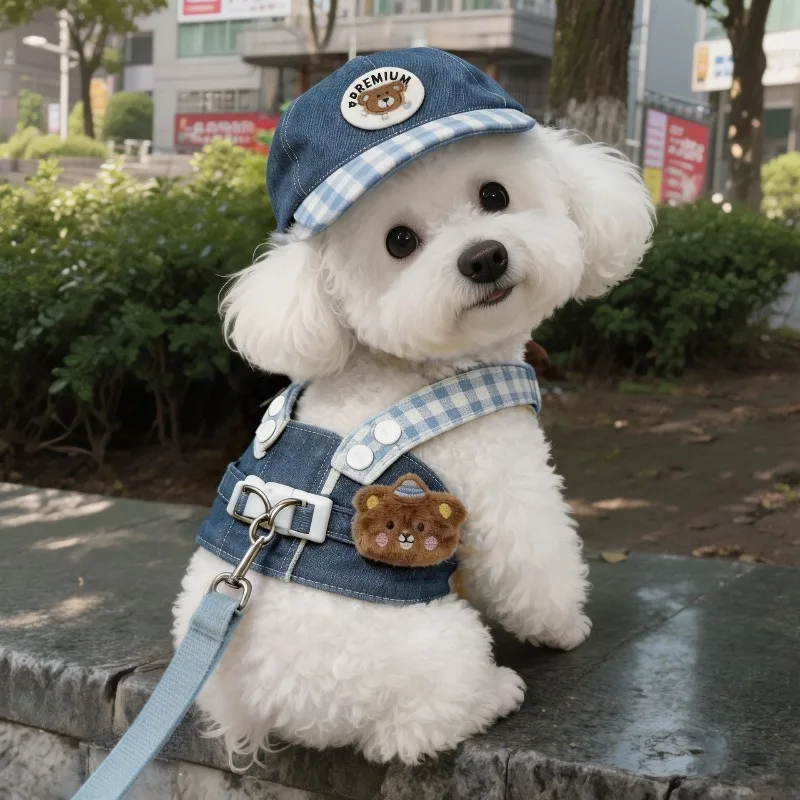 Colete Arnês para Cães Pequenos Ajustável com Corda de Tração - Imagem 2