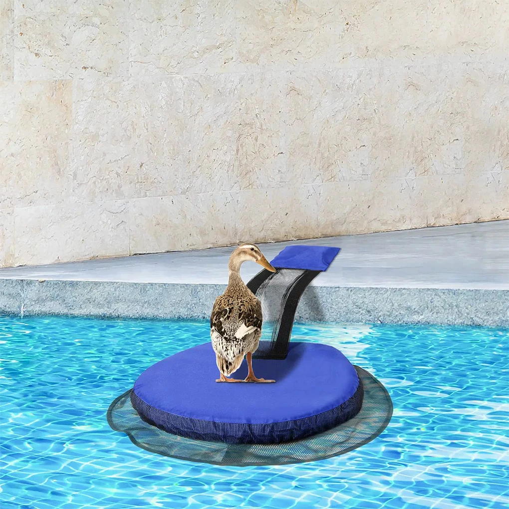 Rampa de Escape para Piscina PVC para Pequenos Animais com Rede de Fuga - Imagem 2