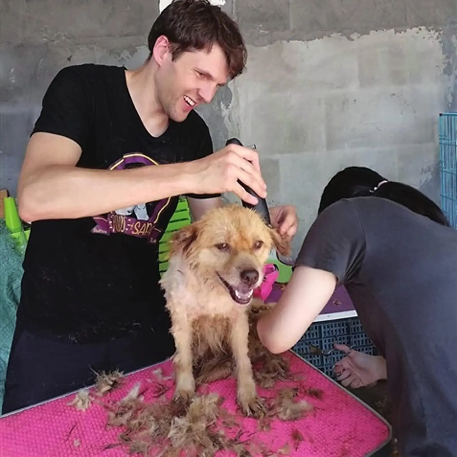 Lâmina de Substituição A5 para Cortador de Cães e Gatos - Imagem 4