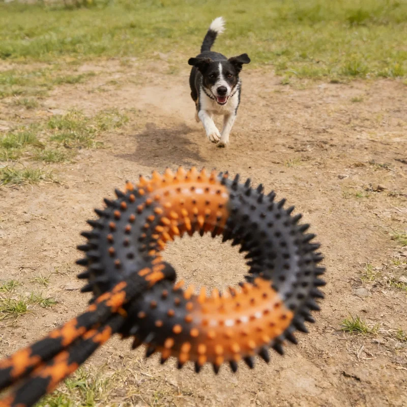 Brinquedo de Puxar para Cães Grandes com Anel Pontiagudo e Nó - Imagem 2