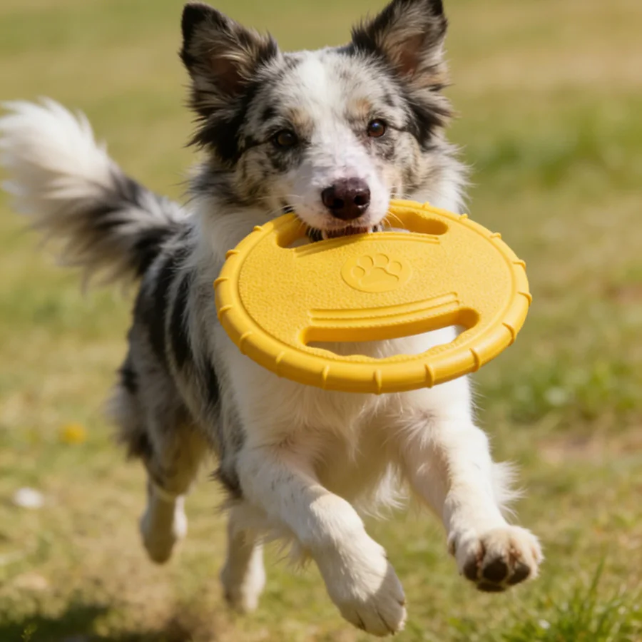 Brinquedo Disco Voador para Cães de Todos os Portes Resistente a Mordidas - Imagem 3