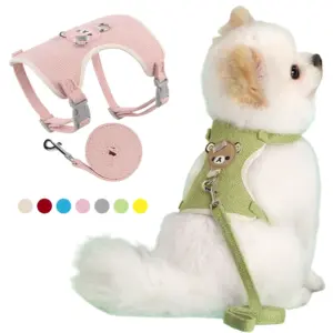 conjunto coleira e guia para cães e gatos