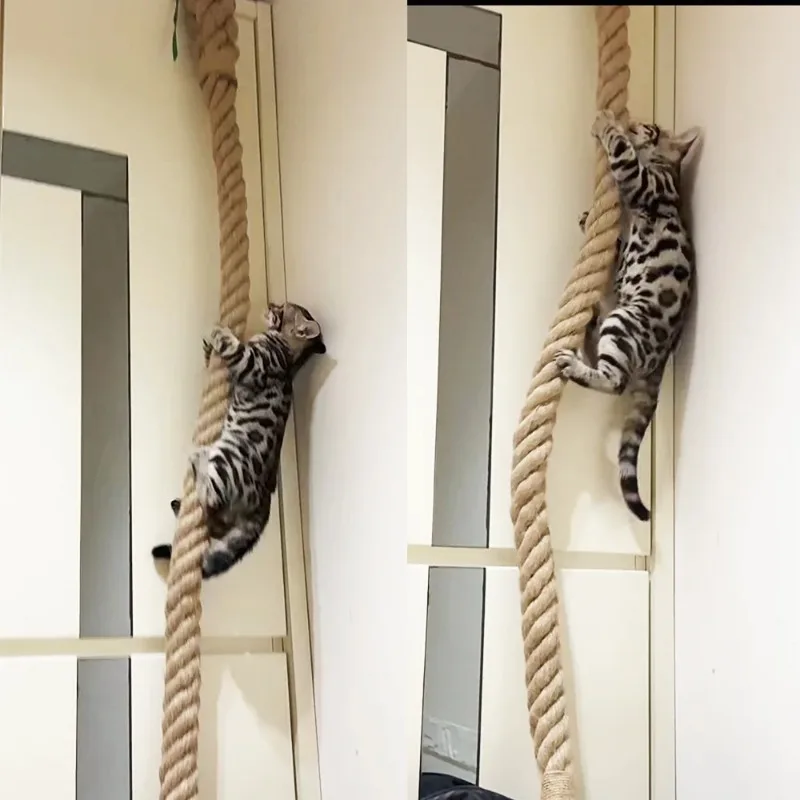 corda de escalada para gatos com gancho