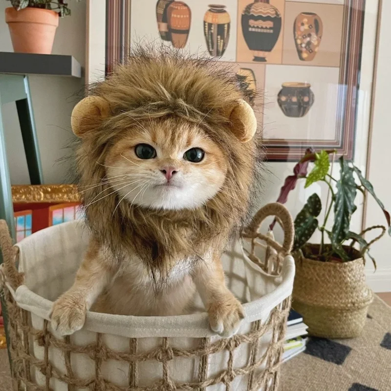 Peruca de Leão para Cães e Gatos de Poliéster 32 cm Pescoço - Imagem 4