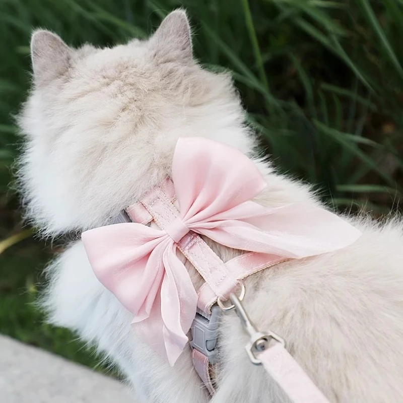 Coleira e Guia para Gatos com Laço e Ajuste de 20 a 33 cm - Imagem 2