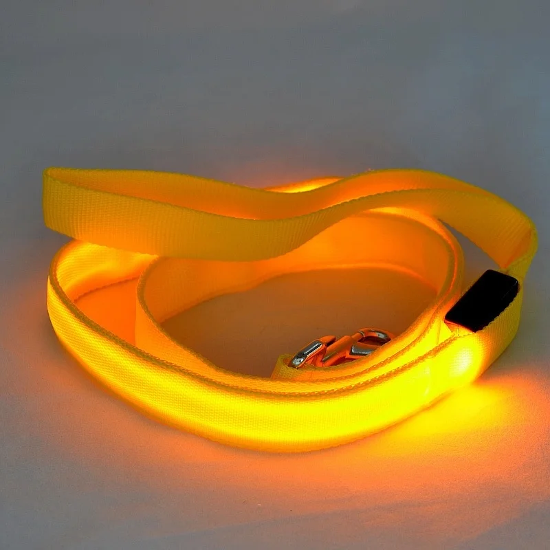 Coleira e Guia LED para Cães com Luzes Piscantes e À Prova D'Água - Image 3