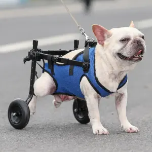 cadeira de rodas para cães pequenos ajustável