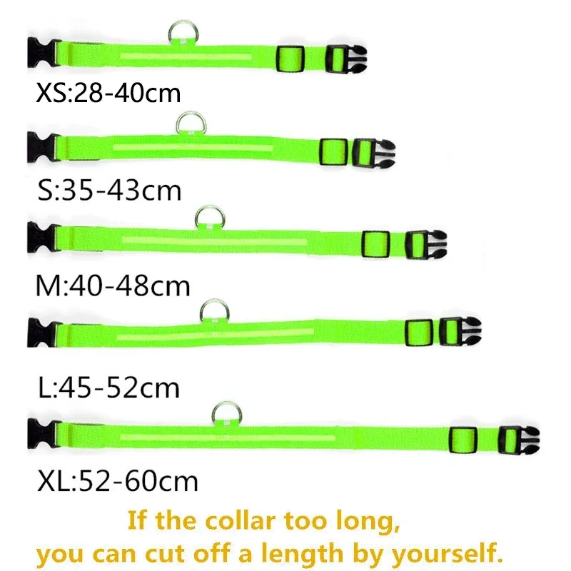 Coleira LED para Cães Recarregável USB com Faixa Luminosa - Image 6