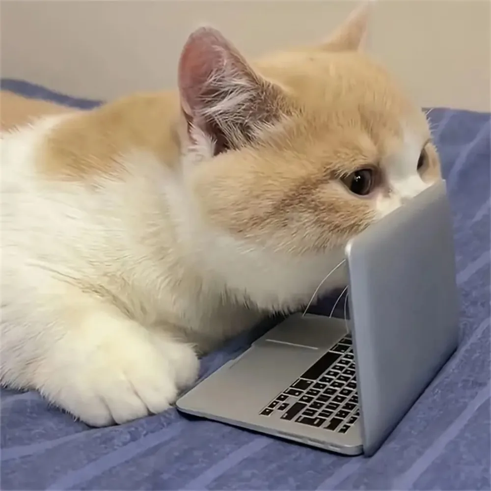 Brinquedo Interativo para Gato com Espelho e Tira - Imagem 3