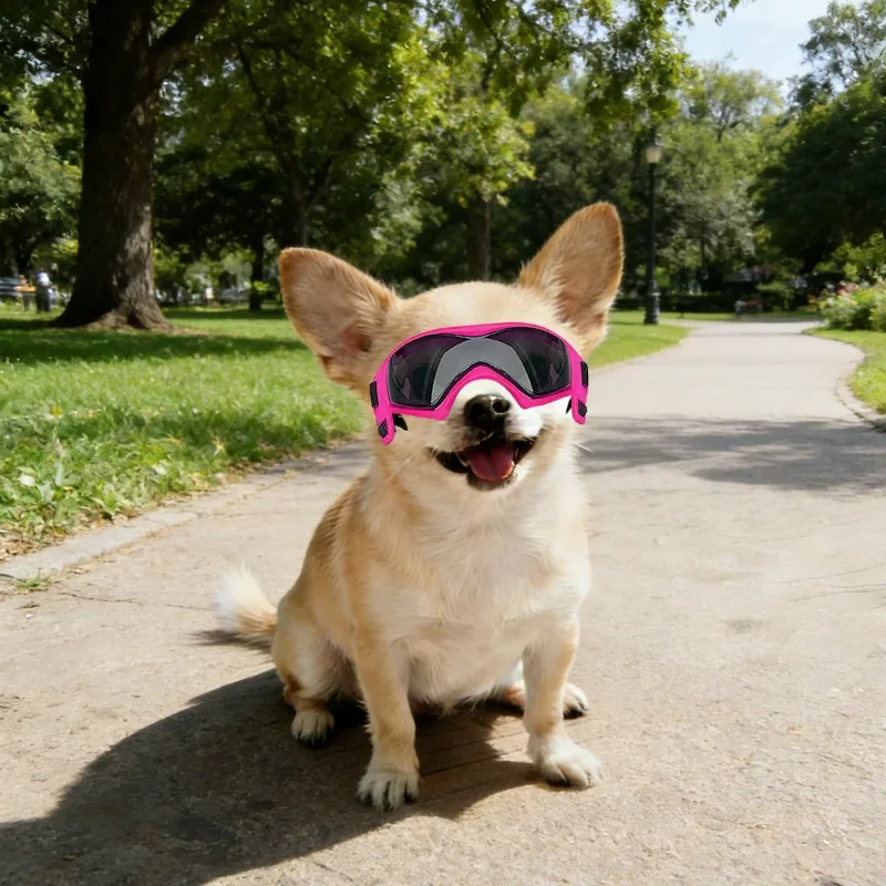 Óculos de Sol para Cães Pequenos com Proteção UV - Imagem 5