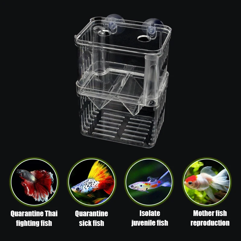 Caixa de Isolamento para Peixes de Acrílico com Ventosas - Imagem 4