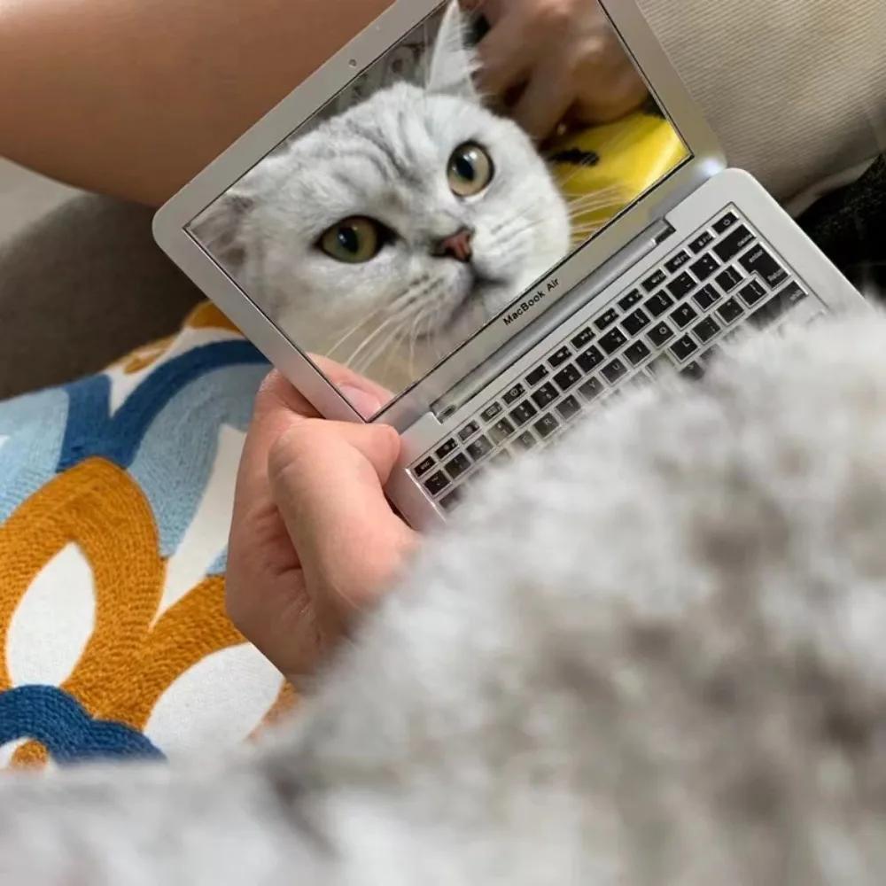 Brinquedo Interativo para Gato com Espelho e Tira - Imagem 4
