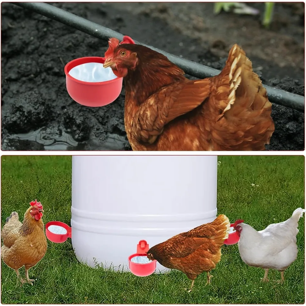 Bebedouro Automático para Aves Suspenso com Abastecimento Contínuo - Imagem 4