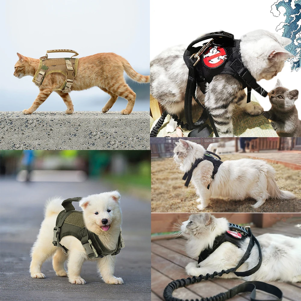 Coleira Tática para Cães e Gatos Pequenos Ajustável - Imagem 6