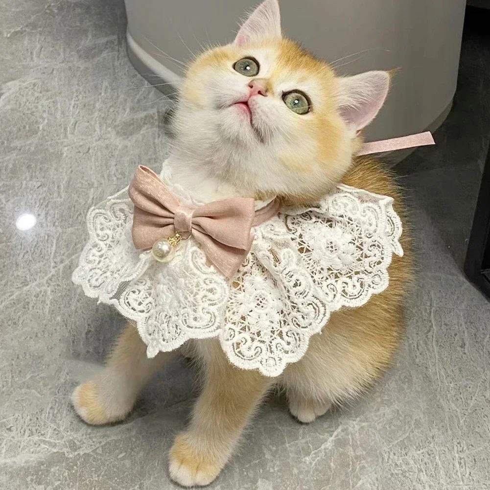 Coleira de Laço para Gatos e Cães de Poliéster com Ajuste de Tamanho - Imagem 4