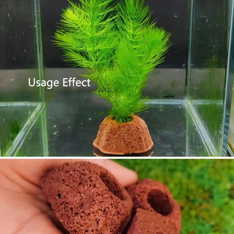 Copo para Plantas de Aquário em Rocha Vulcânica - Imagem 6