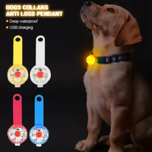 pingente led recarregável para cães e gatos