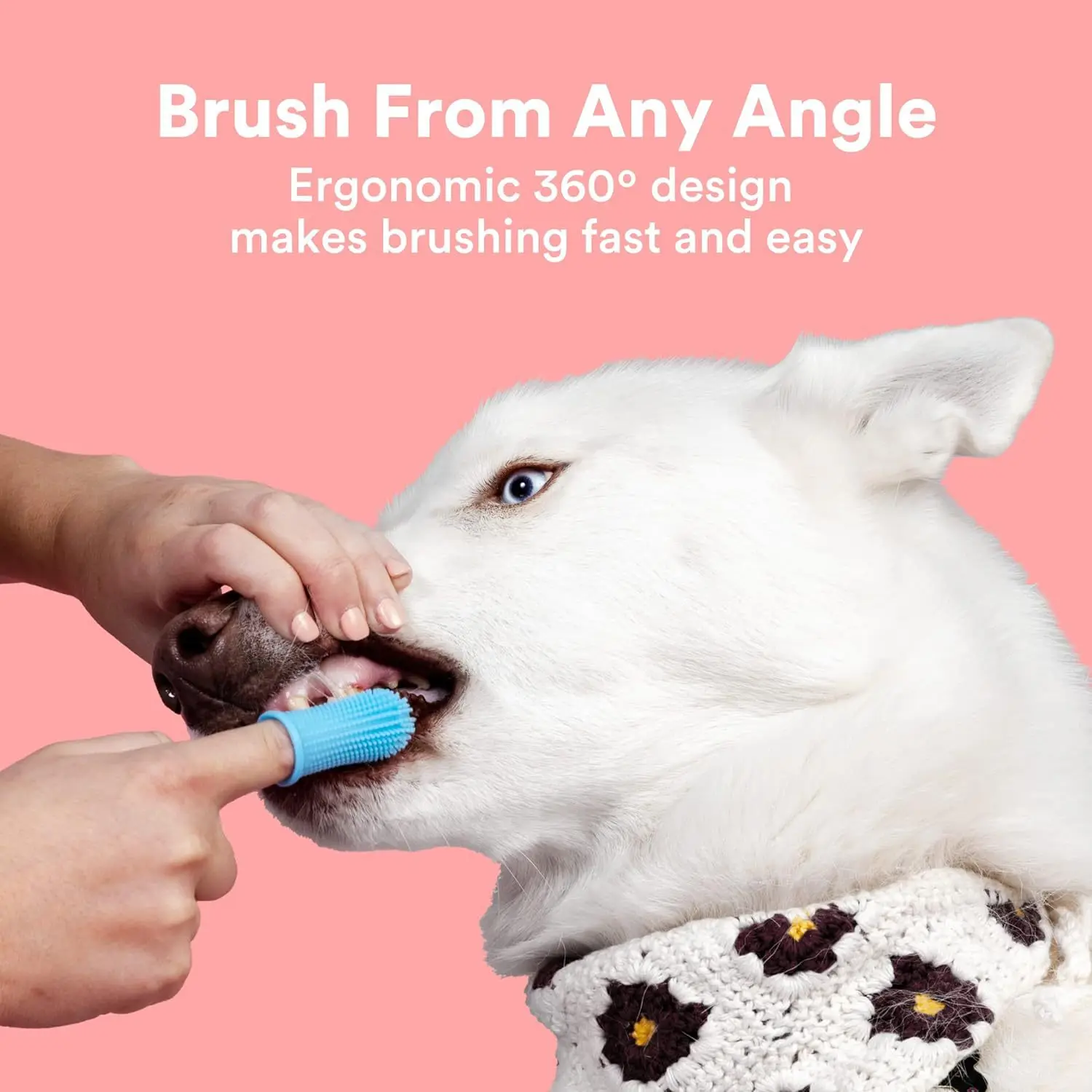 Escova de Dentes para Cães e Gatos Pequenos Kit com 3 Peças - Imagem 5
