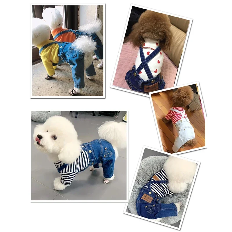 Macacão Jeans para Cães Pequenos de Chihuahua Yorkshire - Imagem 3