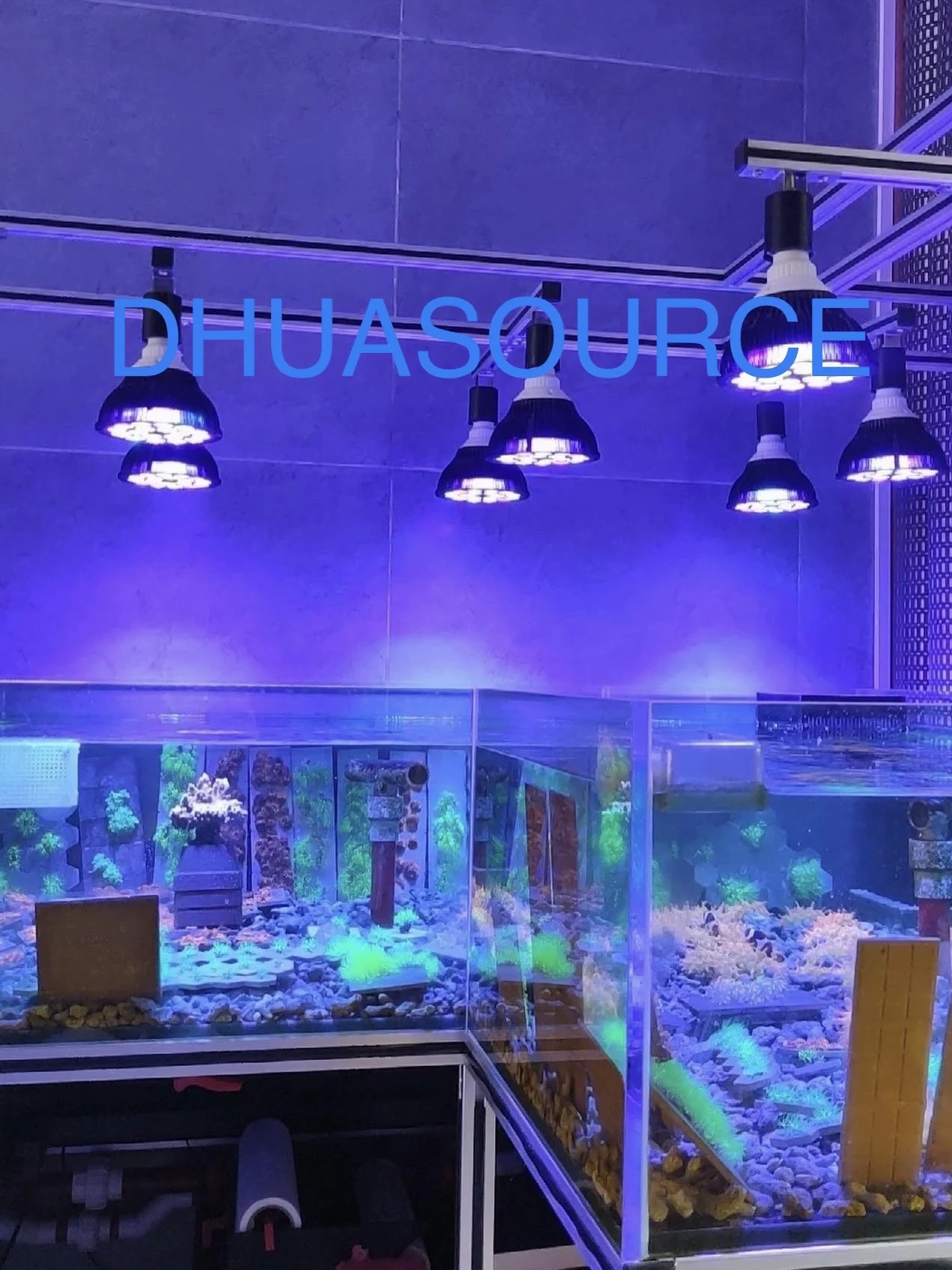Lâmpada LED para Aquário de Recifes 18W, Espectro Completo para Tanques de 40-90 cm - Imagem 2