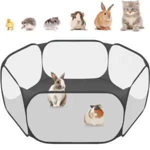 cercadinho portátil transparente para pets