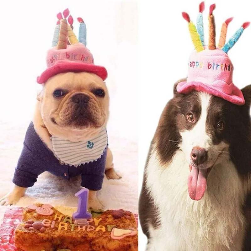 Chapéu de Aniversário para Cães e Gatos de Pelúcia Ajustável - Image 6