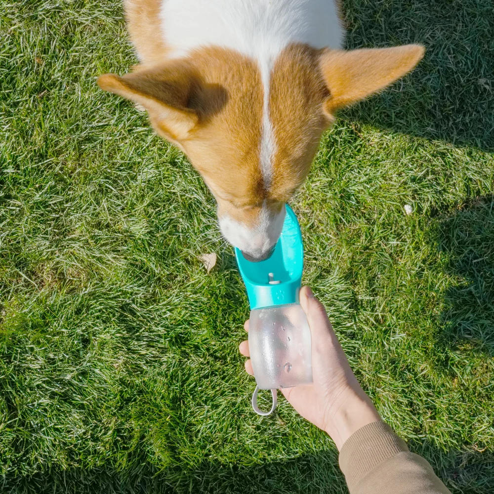 Garrafa de Água Portátil para Cães e Gatos 300ml com Bico de Esfera - Imagem 5