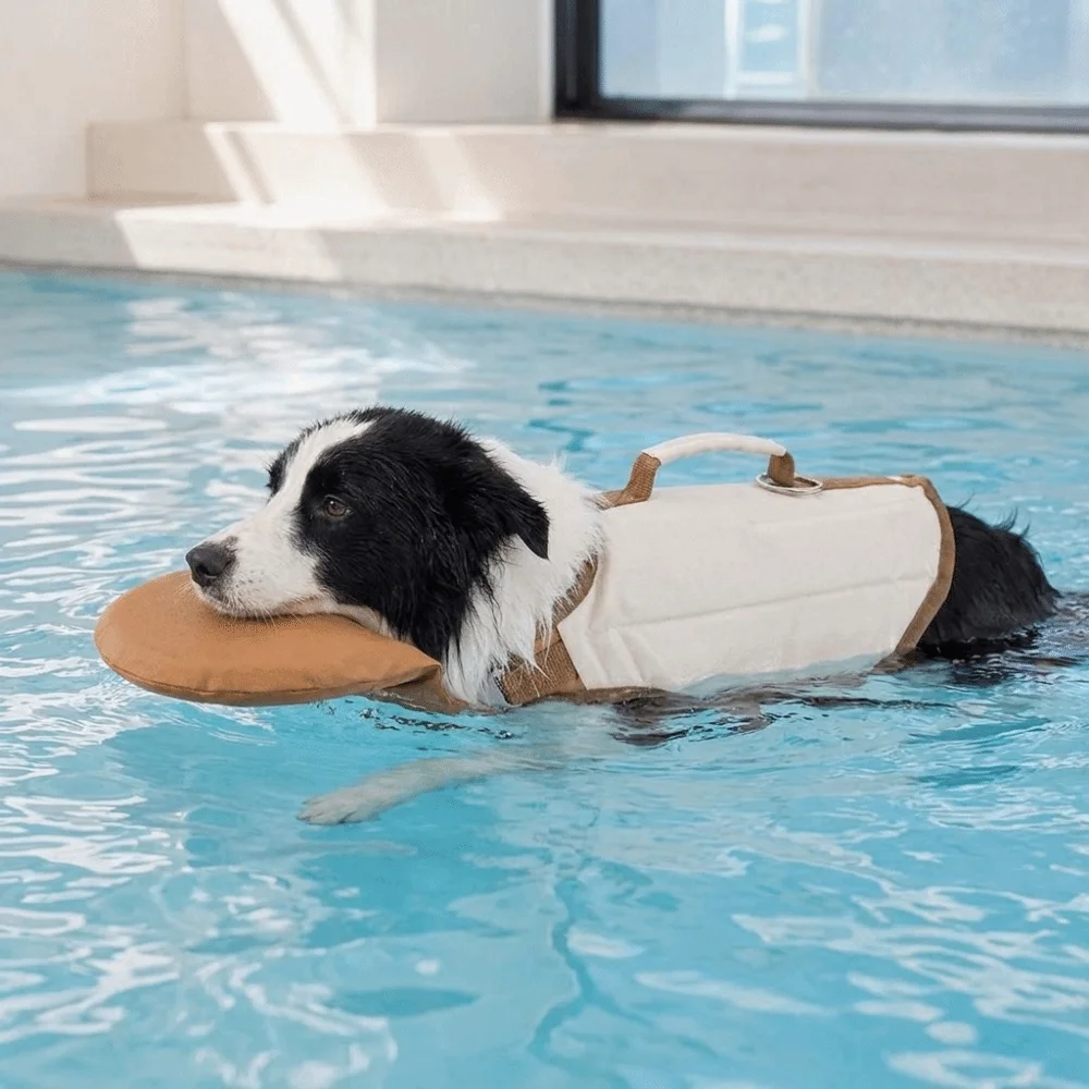 Colete Salva-Vidas para Cães com Alça de Segurança Ajustável - Image 3
