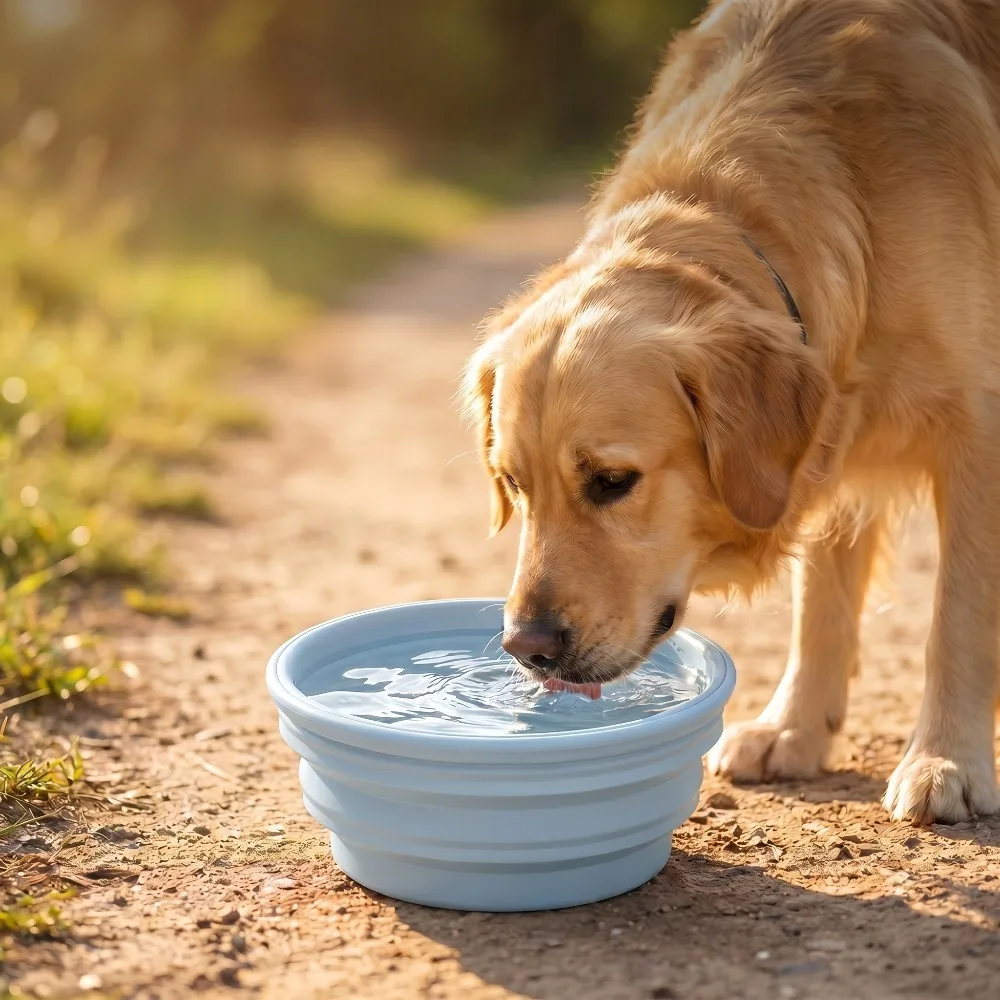 Tigela Dobrável para Cães de TPE 350ml para Viagem - Image 5
