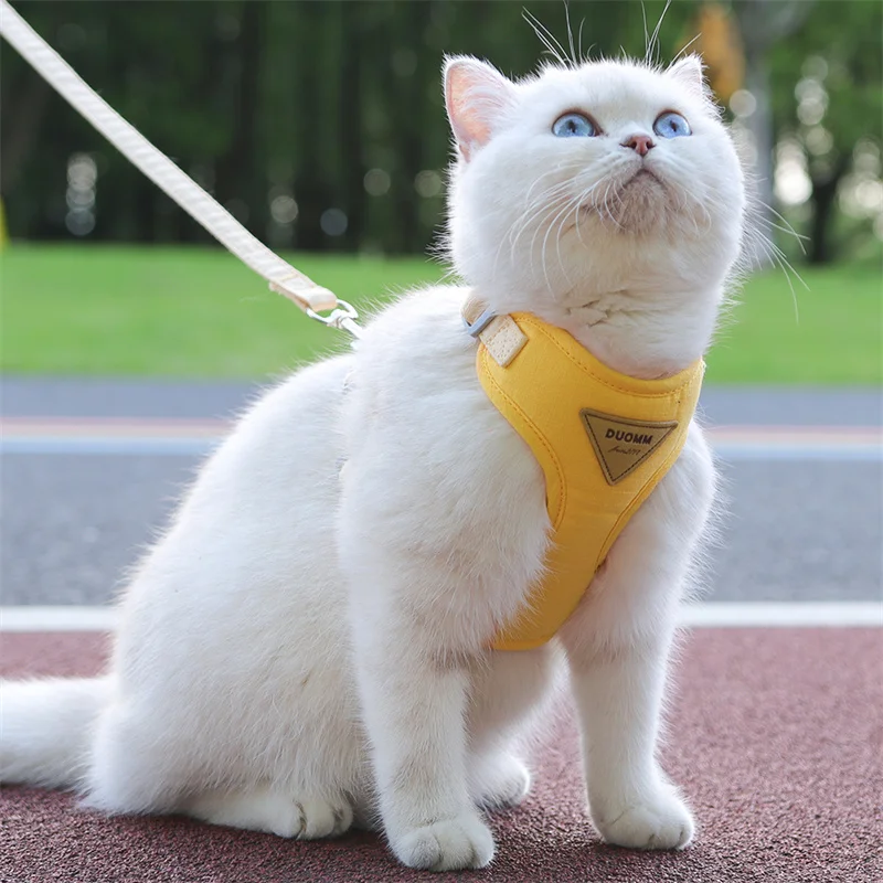 Coleira e Guia Ajustáveis para Gatos para Passeio - Imagem 4