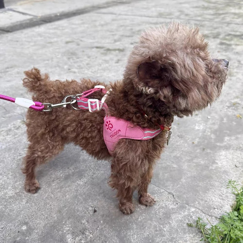 Coleira Peitoral de Malha para Cães Pequenos Ajustável para Passeio - Imagem 4