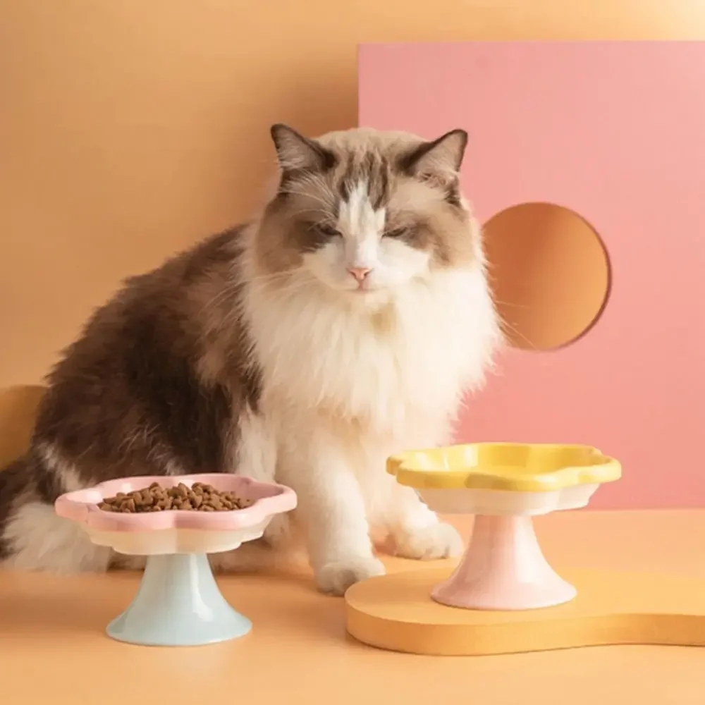 Tigela de Cerâmica para Gatos de 150 ml Antiderrapante e Elevada - Image 3